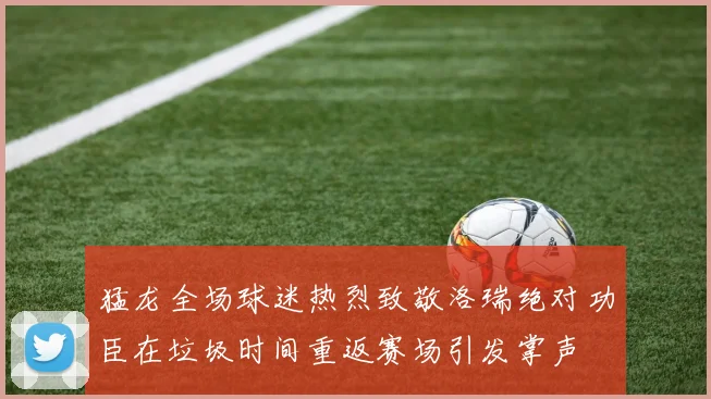 猛龙全场球迷热烈致敬洛瑞绝对功臣在垃圾时间重返赛场引发掌声