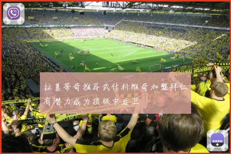 拉基蒂奇推荐武什科维奇加盟拜仁有潜力成为顶级中后卫